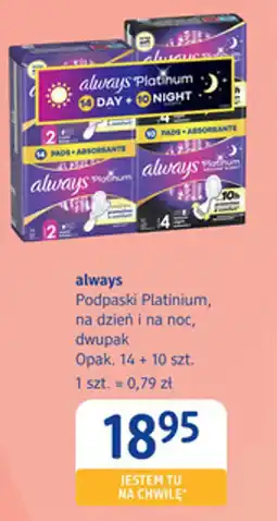 dm drogerie markt always Podpaski Platinium, na dzień i na noc, dwupak oferta