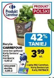 Carrefour Bazylia CARREFOUR oferta