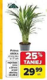 Carrefour Palma ARECA (doniczka 17 cm) oferta