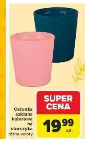 Carrefour Osłonka szklana kolorowa na doniczkę storczyka oferta