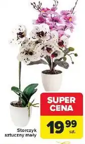 Carrefour Storczyk sztuczny mały oferta