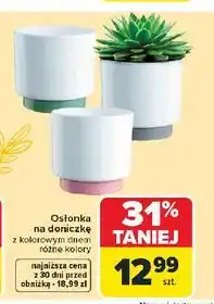 Carrefour Osłonka na doniczkę z kolorowym dnem oferta
