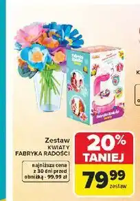 Carrefour Zestaw KWIATY FABRYKA RADOŚCI oferta