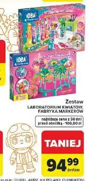 Carrefour Zestaw LABORATORIUM KWIATÓW FABRYKA MARKERÓW oferta