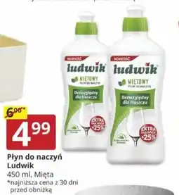 Prymus-AGD Płyn do naczyń Ludwik oferta