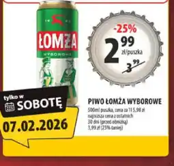 Arhelan Piwo Lomża Wyborowe oferta
