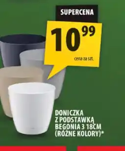 Arhelan Doniczka z podstawką Begonia oferta