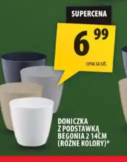 Arhelan Doniczka z podstawką Begonia oferta