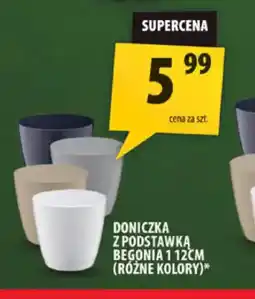 Arhelan Doniczka z podstawką Begonia oferta