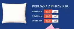 Arhelan Poduszka z pierza oferta