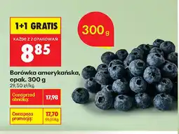 Biedronka Borówka amerykańska oferta