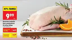 Biedronka Kraina Mięs Kaczka świeża oferta