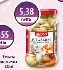 DUO-TES Pieczarka marynowana oferta