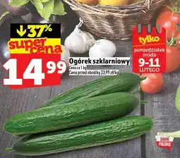 Topaz Ogórek szklarnowy oferta