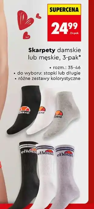 Biedronka Skarpety damskie lub męskie oferta