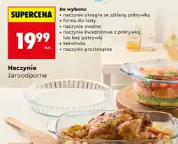 Biedronka Naczynie żaroodporne oferta