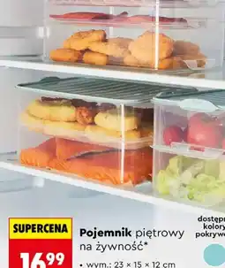 Biedronka Pojemnik piętrowy na żywność oferta