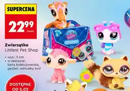 Biedronka Zwierzątko Littlest Pet Shop oferta