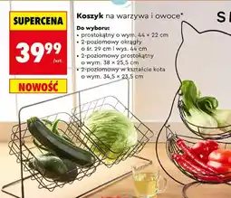 Biedronka Koszyk na warzywa i owoce oferta