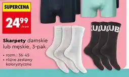 Biedronka Skarpetki damskie lub męskie oferta