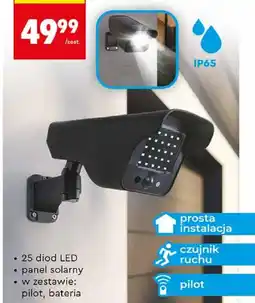 Biedronka Atrapa kamery oferta