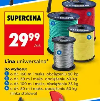 Biedronka Lina uniwersalna oferta