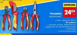Biedronka Narzędzia izolowane oferta