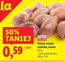 Lidl Polska cebula szalotka oferta