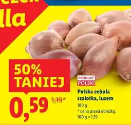 Lidl Cebula szalotka polska luzem oferta