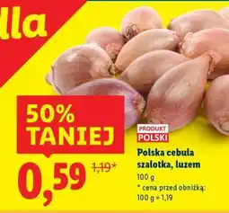 Lidl Polska cebula szalotka, luzem oferta