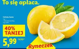 Lidl Cytryny luzem oferta