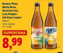 Lidl Browar Pinta piwo oferta