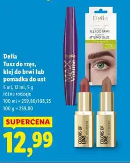 Lidl Delia Tusz do rzęs, klej do brwi lub pomadka do ust oferta