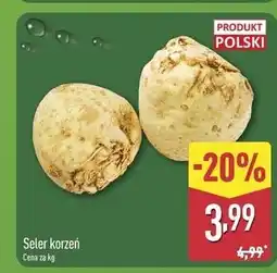 ALDI Seler korzeń oferta