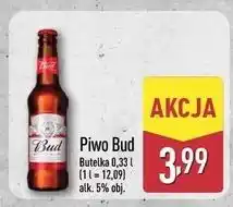 ALDI Piwo Bud butelka oferta