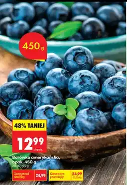 Biedronka Borówka amerykańska, opak oferta