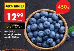 Biedronka Borówka amerykańska oferta