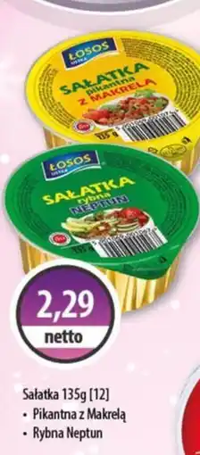 DUO-TES Losoś Sałatka oferta
