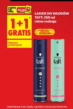 Biedronka Lakier do włosów Taft oferta