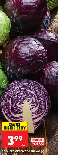 Biedronka Kapusta czerwona na wagę oferta