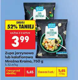 Biedronka Zupa jarzynowa lub kalafiorowa Mroźna Kraina oferta