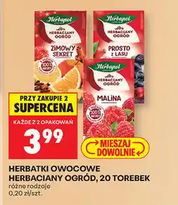 Biedronka Herbatki owocowe herbaciany ogród oferta