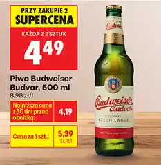 Biedronka Budweiser Budvar oferta