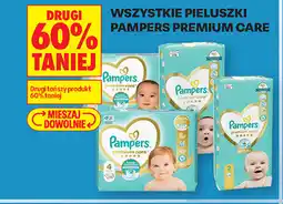 Biedronka Pampers Premium Care pieluszki oferta
