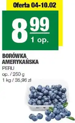 Spar Borówka amerykańska Peru oferta