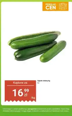 Dino Winogrono jasne luz oferta