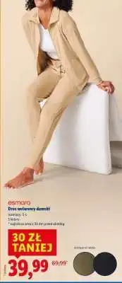 Lidl Dres welurowy damski oferta