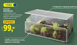 Lidl PARKSIDE Miniszklarnia oferta