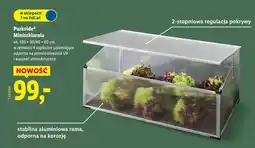 Lidl Parkside Miniszklaria oferta