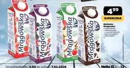 Netto Maślanka Mrągowska (truskawkowa, wieloowocowa, pieczone jabłka, stracciatella) oferta